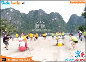 ngựa bơm hơi sắc màu