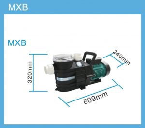 máy bơm lọc nước bể bơi