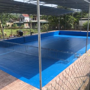 3 Ưu Điểm Của Bể Bơi Lót Bạt PVC 8
