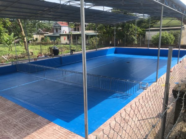 3 Ưu Điểm Của Bể Bơi Lót Bạt PVC 4