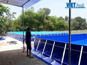 hồ bơi lắp ghép thông minh