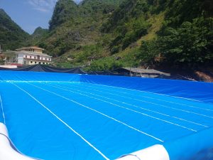 Hồ Bơi Dạy Bơi 9,6m x 20,1m 3 Hồ Bơi Dạy Bơi 9,6m x 20,1m 8