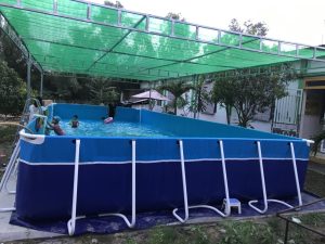 Chân bể được cấu tạo từ thép cao cấp