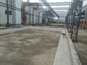 mặt bằng thi công bể bơi âm