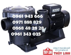 Máy bơm bể bơi Minder 3HP