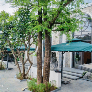 Ô Chính Tâm, Ô Lệch Tâm – Giá Tại Xưởng No1