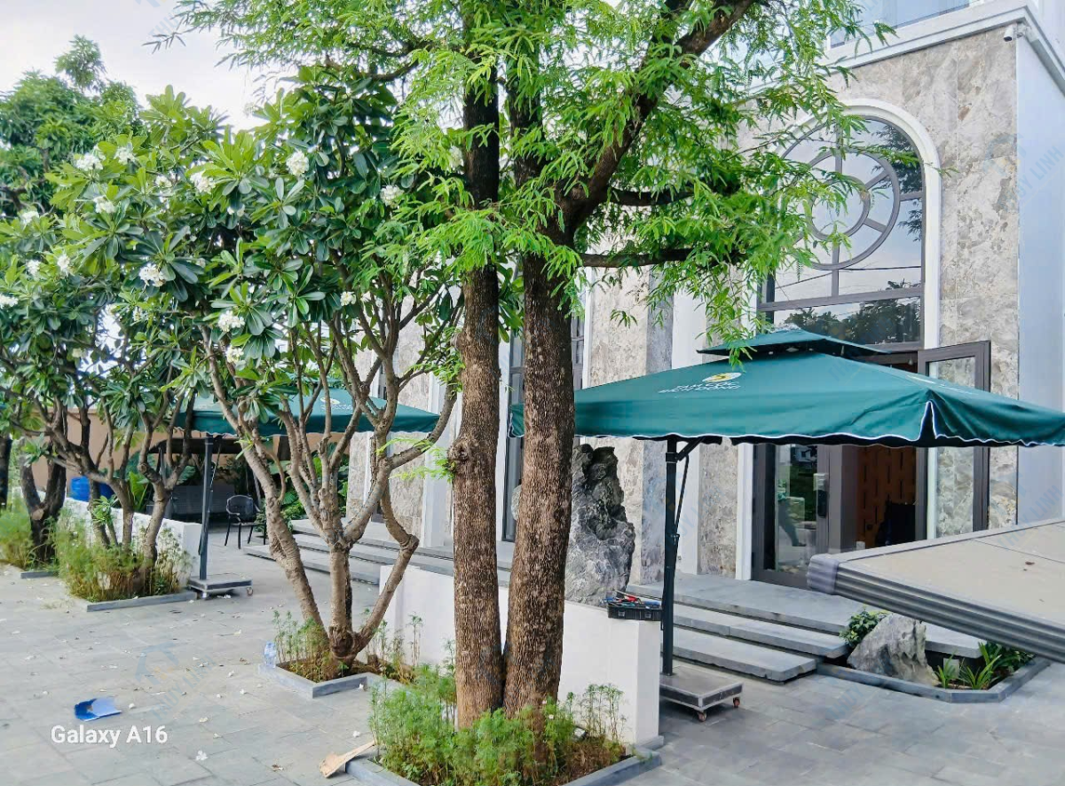 Ô Chính Tâm, Ô Lệch Tâm – Giá Tại Xưởng No1