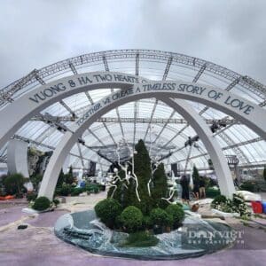 Đồ chơi bơm hơi thuỳ linh 18