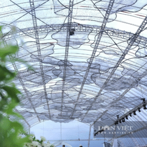 Bạt Màng Trong Thùy Linh No1 - Đám Cưới Hoa Hậu Đỗ Hà 11